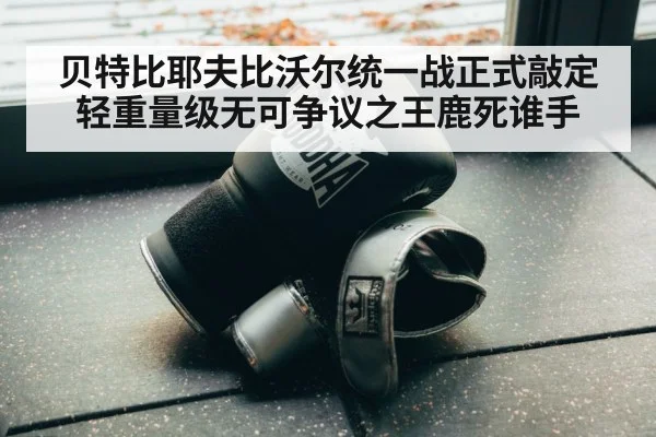 贝特比耶夫比沃尔统一战正式敲定 轻重量级无可争议之王鹿死谁手