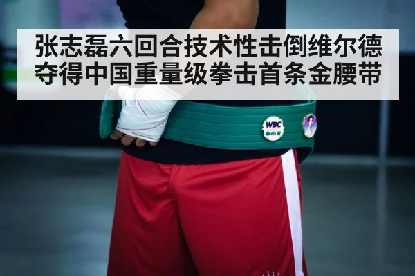 boxing championship belt
