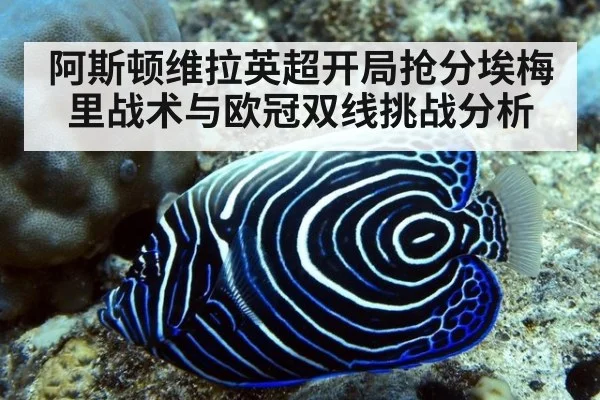 阿斯顿维拉英超开局抢分埃梅里战术与欧冠双线挑战分析